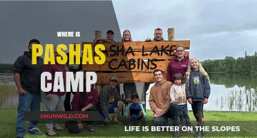 Exploring the Mystery: Where is Pasha's Camp Located?