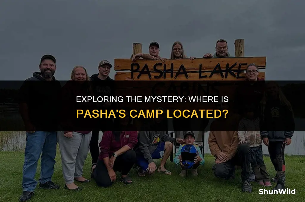 where is pashas camp