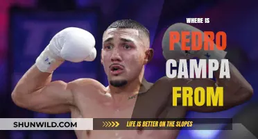 Unveiling Pedro Campa's Hometown: A Journey Through His Roots