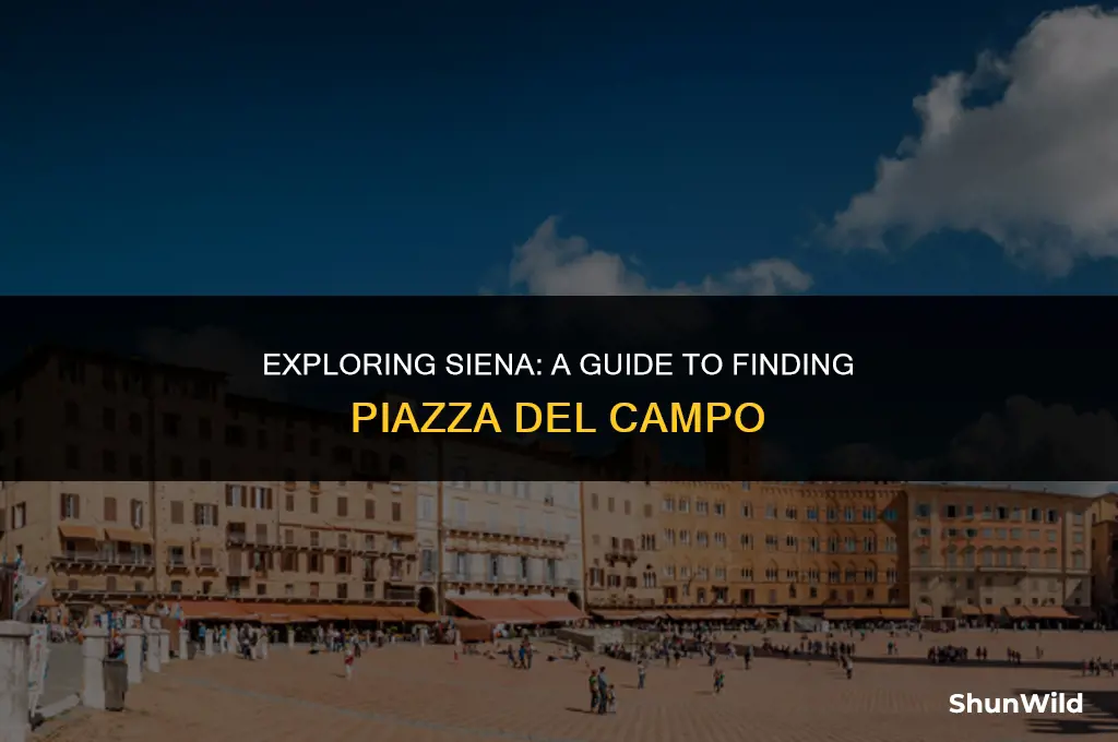 where is piazza del campo
