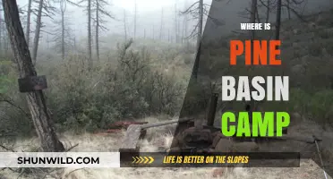 Discovering Pine Basin Camp: A Hidden Gem in the Wilderness