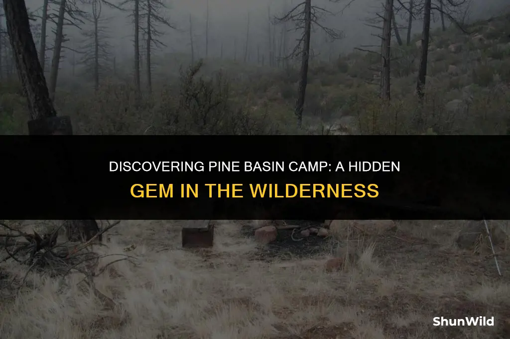 where is pine basin camp