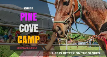 Discovering Pine Cove Camp: Location and Directions for Your Adventure