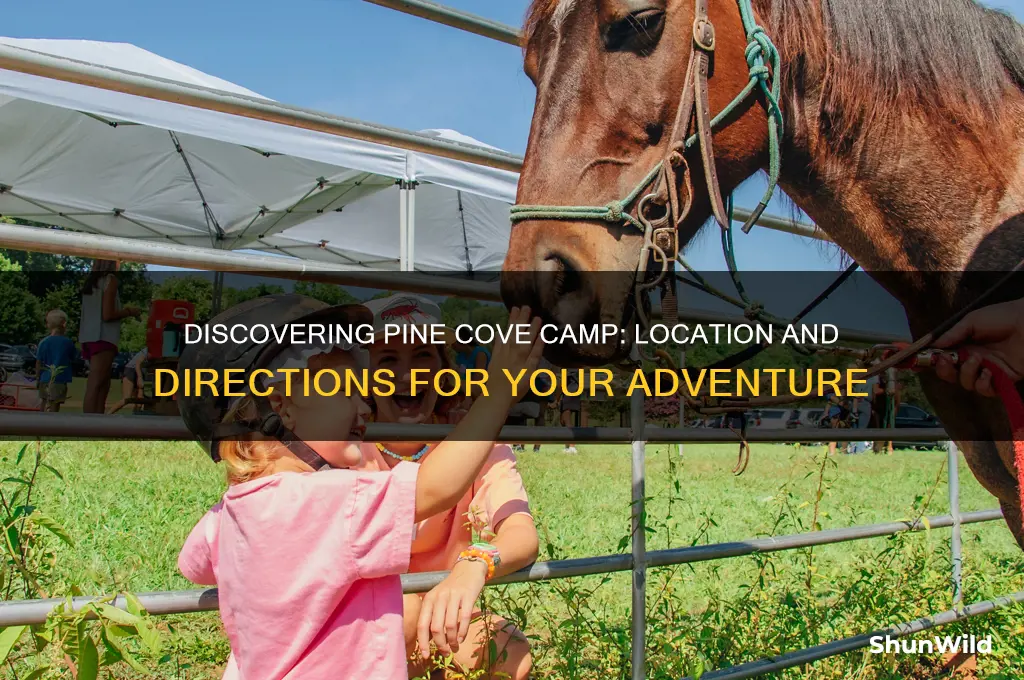 where is pine cove camp