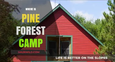Discovering Serenity: A Journey to Pine Forest Camp