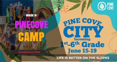 Discovering Pinecove Camp: Your Ultimate Guide to Location and More
