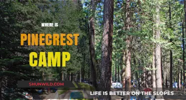 Discovering Pinecrest Camp: Your Ultimate Guide to Location and More