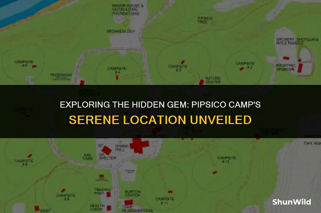 where is pipsico camp located
