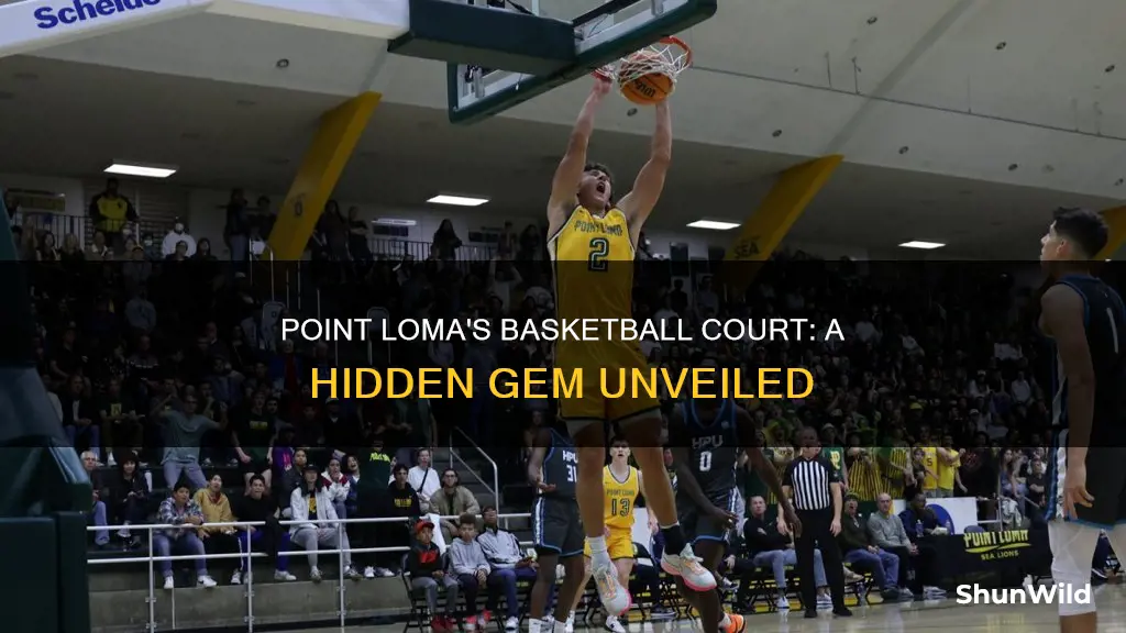 where is point loma basketball