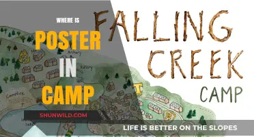 Unveiling the Mystery: Where is the Poster in Camp?
