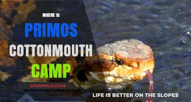 Exploring the Mythos: Unveiling the Legend of Primo's Cottonmouth Camp