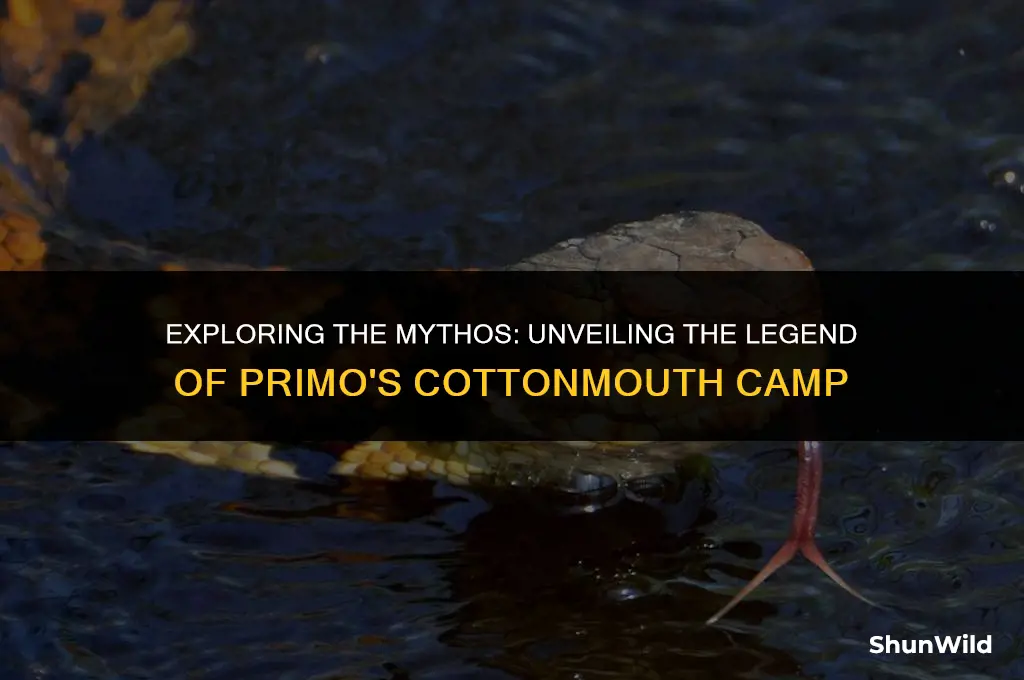 where is primos cottonmouth camp