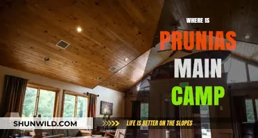 Exploring the Heart of Prunias: A Journey to Its Main Camp