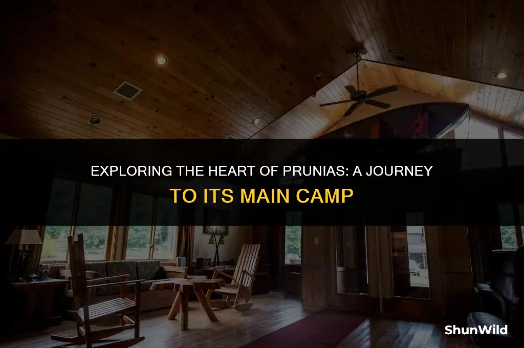 where is prunias main camp