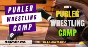 Unveiling the Ultimate Purler Wrestling Camp Experience