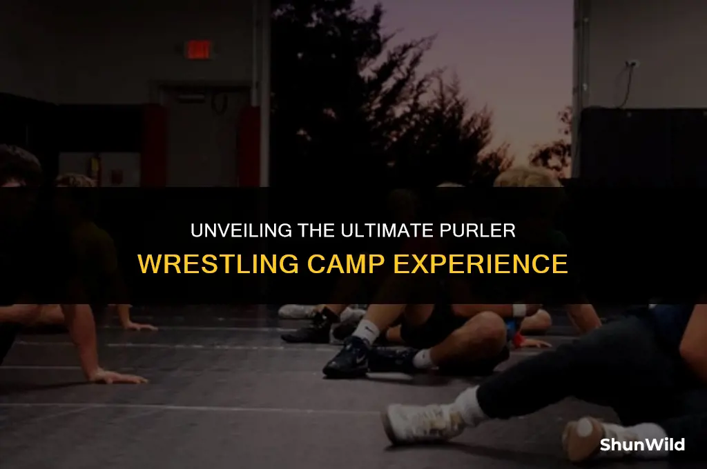 where is purler wrestling camp