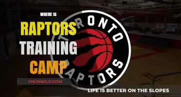 Exploring the Toronto Raptors' Training Camp Location