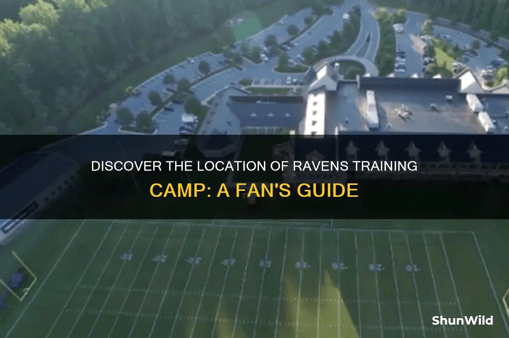 where is ravens training camp