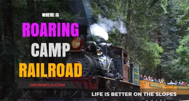 Discovering the Historic Roaring Camp Railroad: A Journey Back in Time