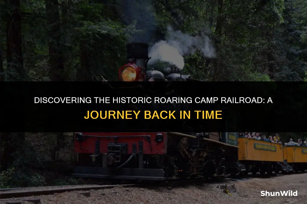 where is roaring camp railroad