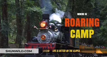 Unveiling the Mystery: Where is Roaring Camp Located?