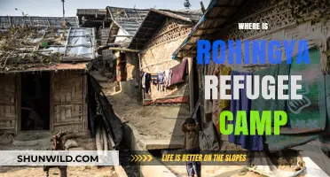 Seeking Shelter: The Rohingya Refugee Camp's Global Quest