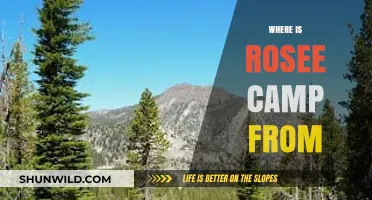 Exploring Rosée Camp's Hometown: A Journey to Discover Her Roots