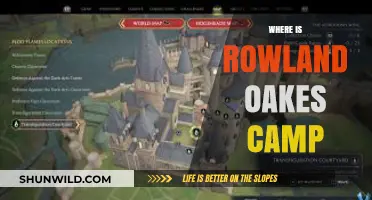 Exploring the Serene Beauty of Rowland Oakes Camp