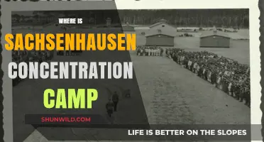Sachsenhausen Concentration Camp: Location, History, and Memorial Site Guide