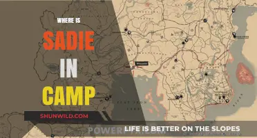 Unraveling the Mystery: Where is Sadie in Camp?