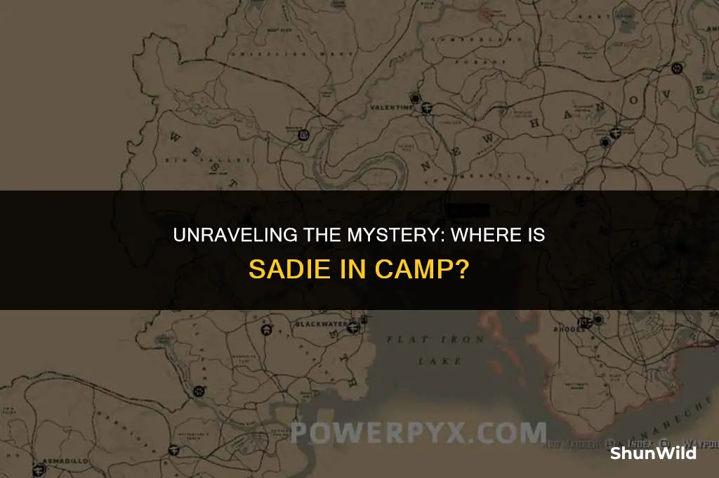 where is sadie in camp