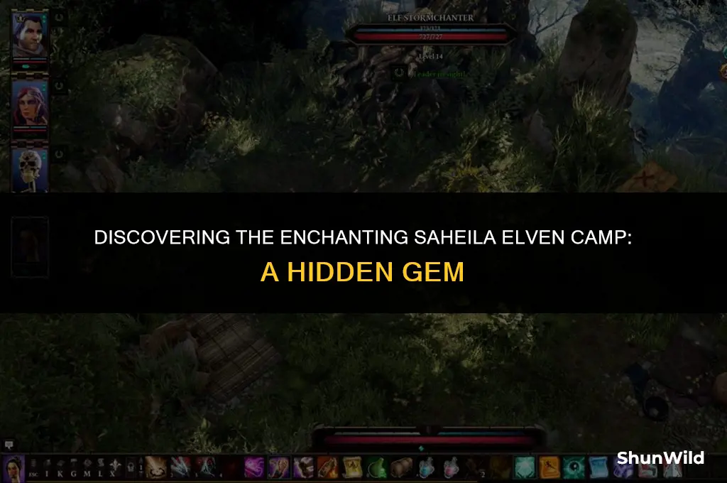 where is saheila elven camp