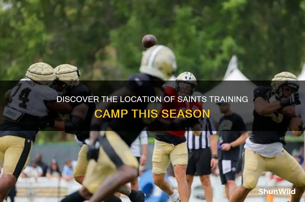 where is saints training camp