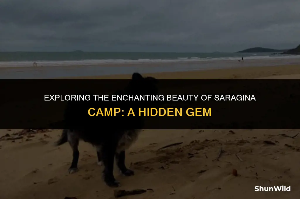 where is saragina camp