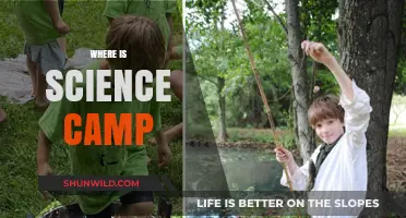 Exploring the Frontiers: A Journey to Science Camp