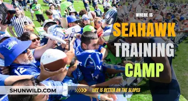 Seahawks' Training Camp Location: Everything You Need to Know