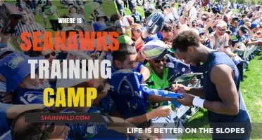 Seahawks Training Camp: Unveiling the Ultimate Fan Experience