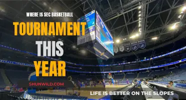 SEC Basketball Tournament: Where to Watch This Year