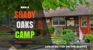 Unveiling the Hidden Gem: Shady Oaks Camp's Secret Location Revealed