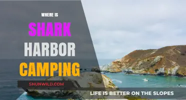 Discover the Ultimate Shark Harbor Camping Experience: A Hidden Gem
