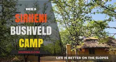 Exploring the Wild: A Guide to Sirheni Bushveld Camp's Location