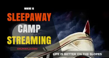 Where to Stream Sleepaway Camp Online: A Comprehensive Guide