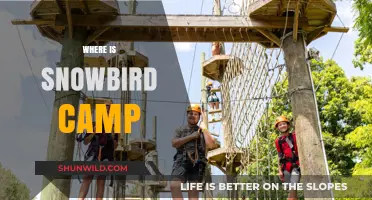 Discovering Snowbird Camp: A Hidden Gem in the Mountains
