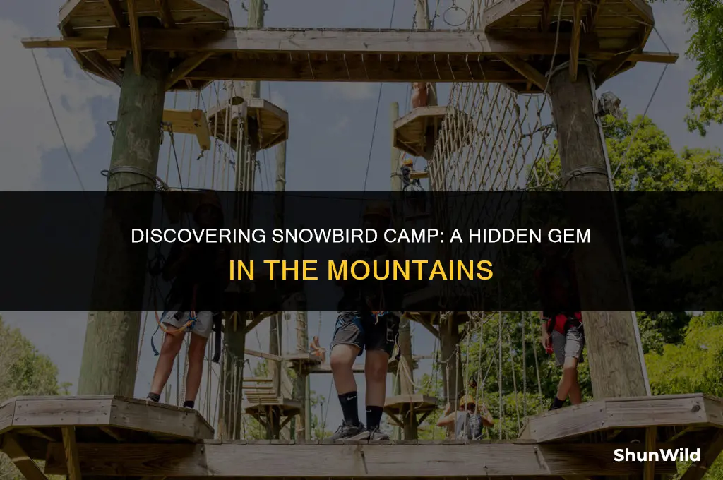 where is snowbird camp