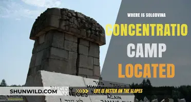 Uncovering Solodvina: The Hidden Location of a Concentration Camp