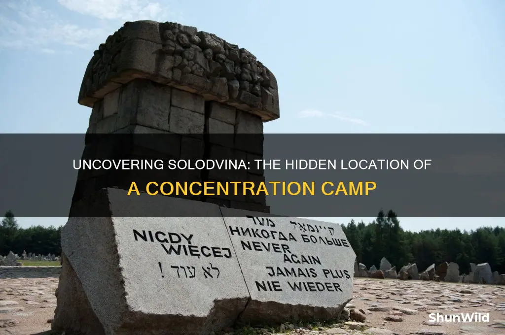 where is solodvina concentration camp located