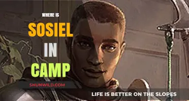 Unveiling the Mystery: Sosiel's Whereabouts in Camp