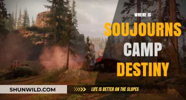 Exploring the Enchanting Soujourns Camp in Destiny: A Comprehensive Guide