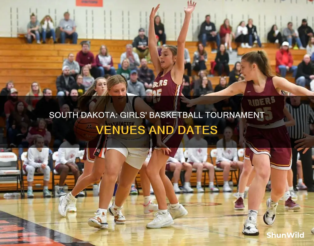 where is south dakota state b girls basketball tournament
