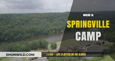 Discovering Springville Camp: A Hidden Gem in the Great Outdoors